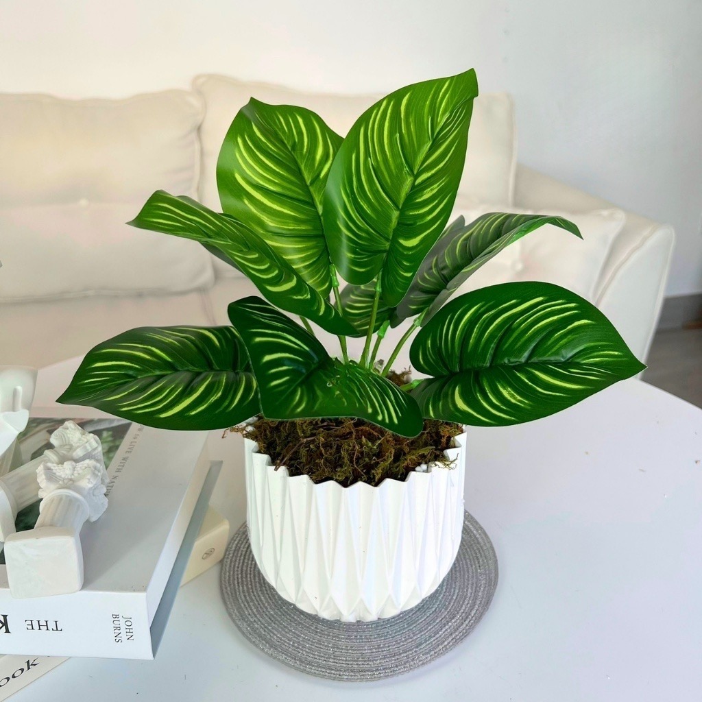 Chậu cây giả để bàn - Cây giả, hoa lụa Decor trang trí nhà cửa, quán cafe