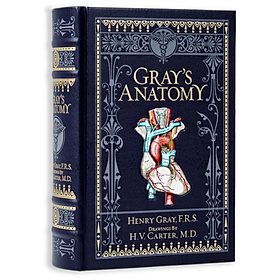 Artbook - Sách Tiếng Anh - Gray
