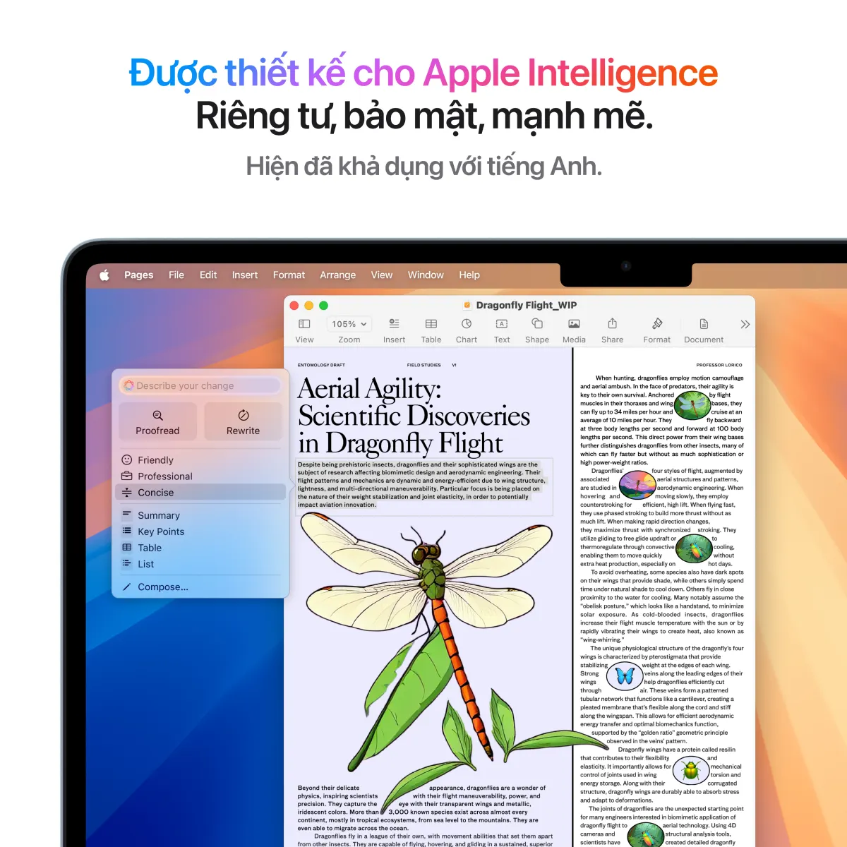 MacBook Air M4 13Inch