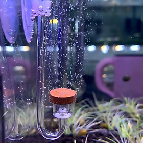 Sủi CO2 Siêu Mịn EBI-VN Cho Hồ Thủy Sinh