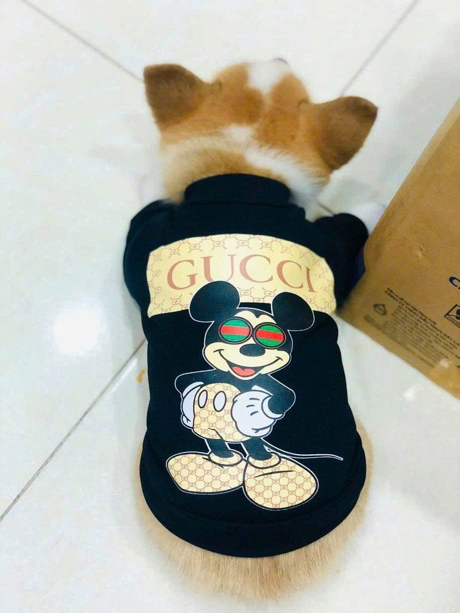 ÁO CUTE COOL NGẦU TỪ 1-20KG DÀNH CHO THÚ CƯNG CHÓ MÈO