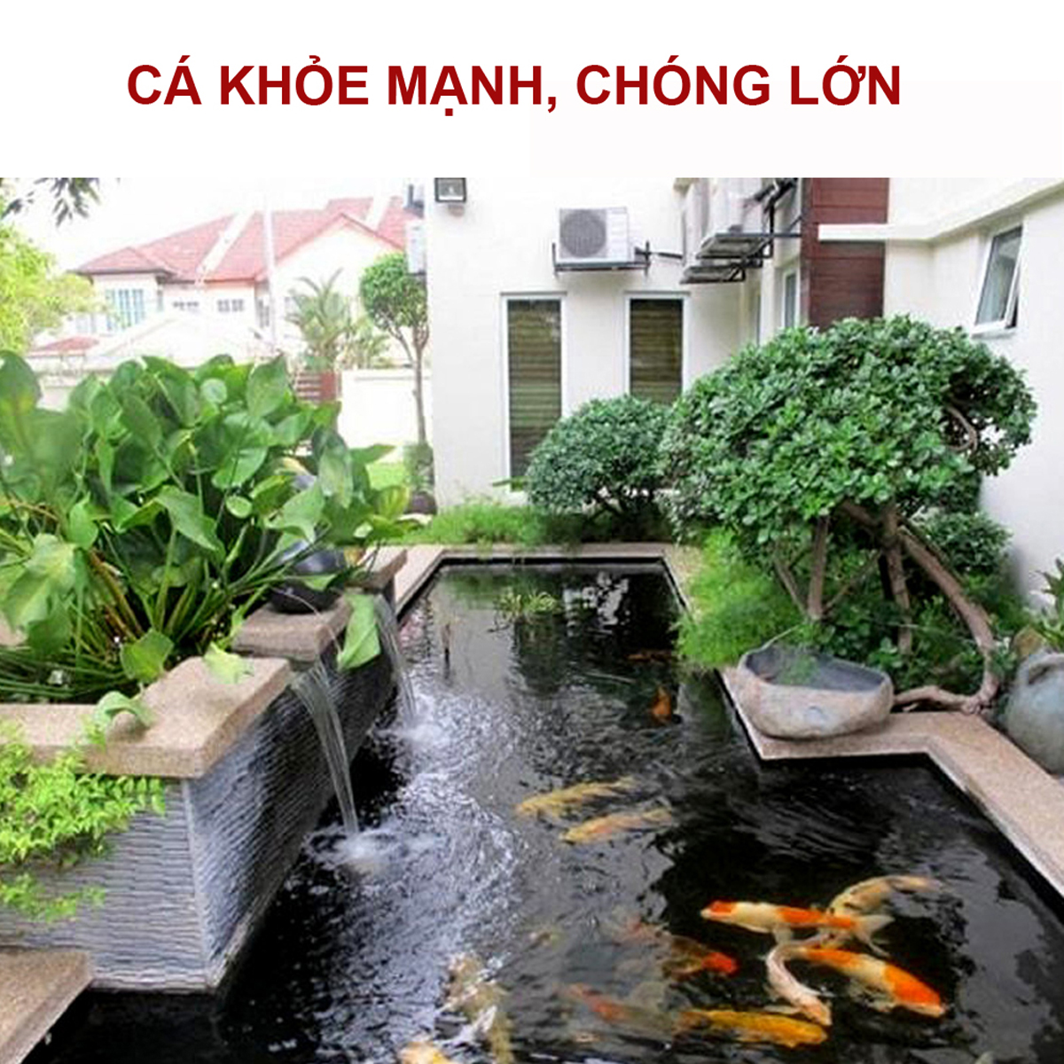 Máy bơm HA 8000 - HA10000 - HA12000 lõi trục gốm, 9 nấc chỉnh nước dùng cho bể cá, hồ cá, hòn non bộ - Máy bơm chìm cao cấp