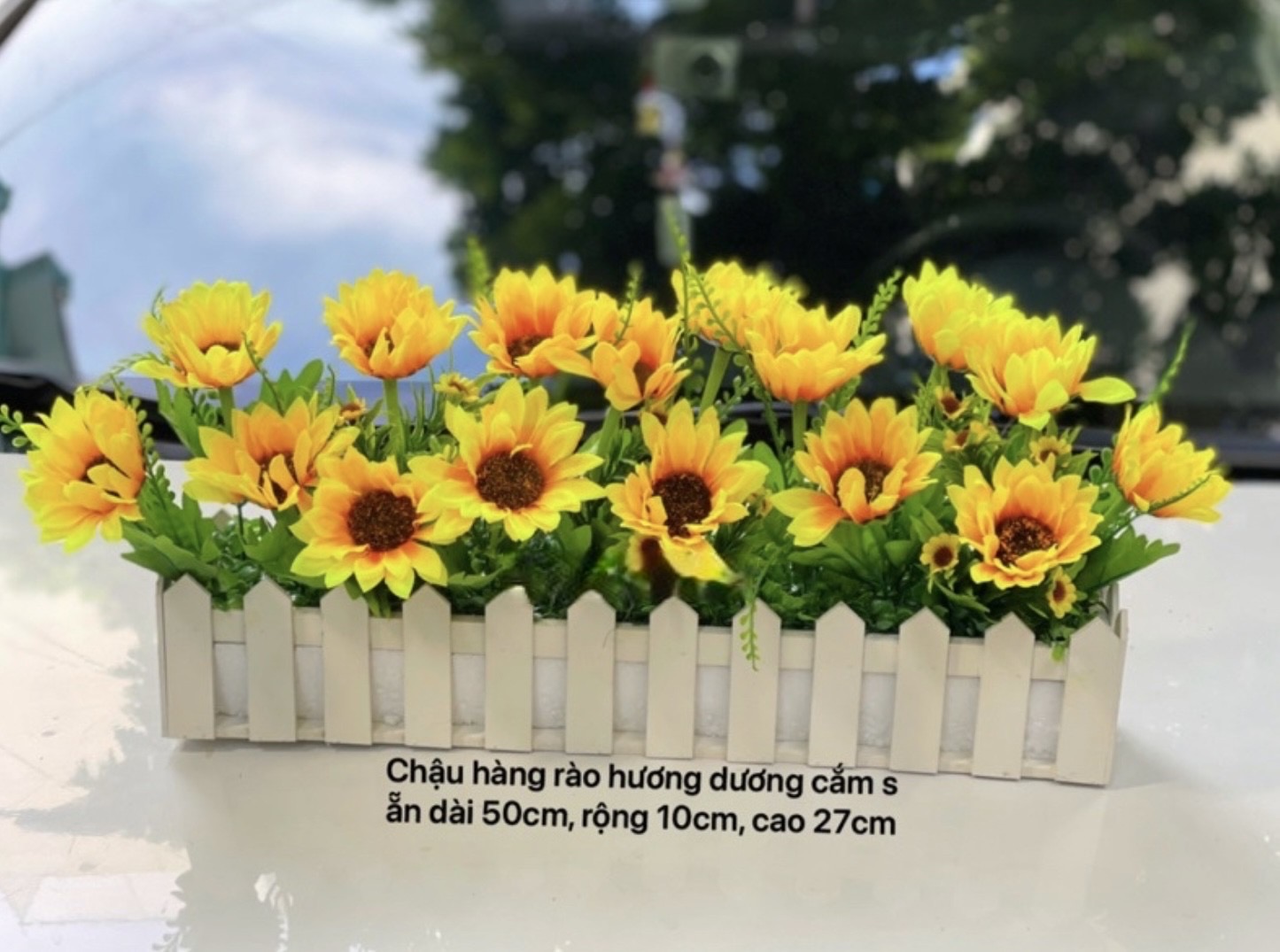 Hoa hướng dương, bình hoa cắm sẵn và chậu hàng rào hoa giả trang trí