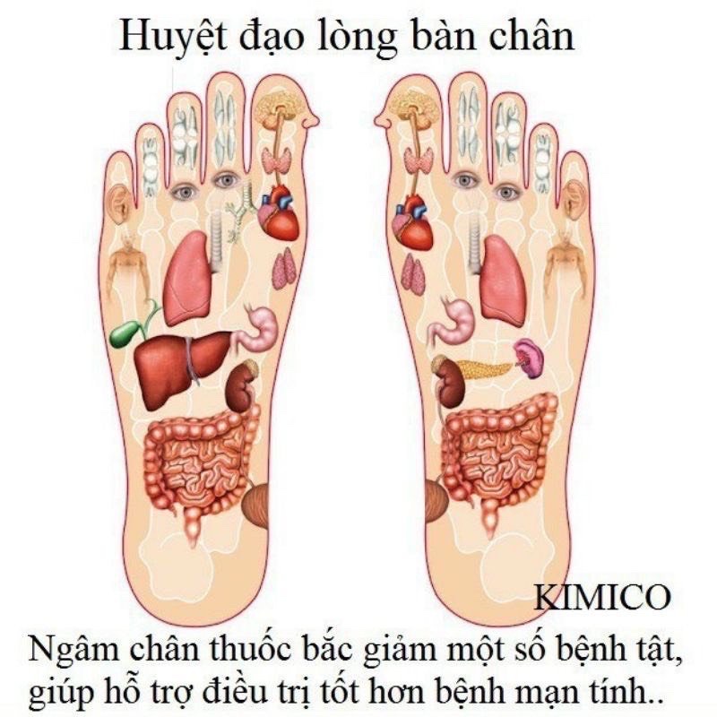 Hộp cao dán 50 miếng dán thải độc chân ngải cứu thải các chất độc qua gan bàn chân