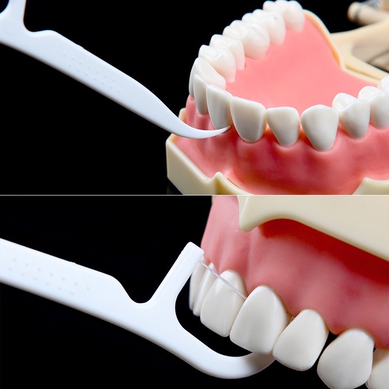 Phụ kiện nhà bếp phòng ăn _ Set hộp 50 cây tăm chỉ nha khoa , an toàn dễ sử dụng
