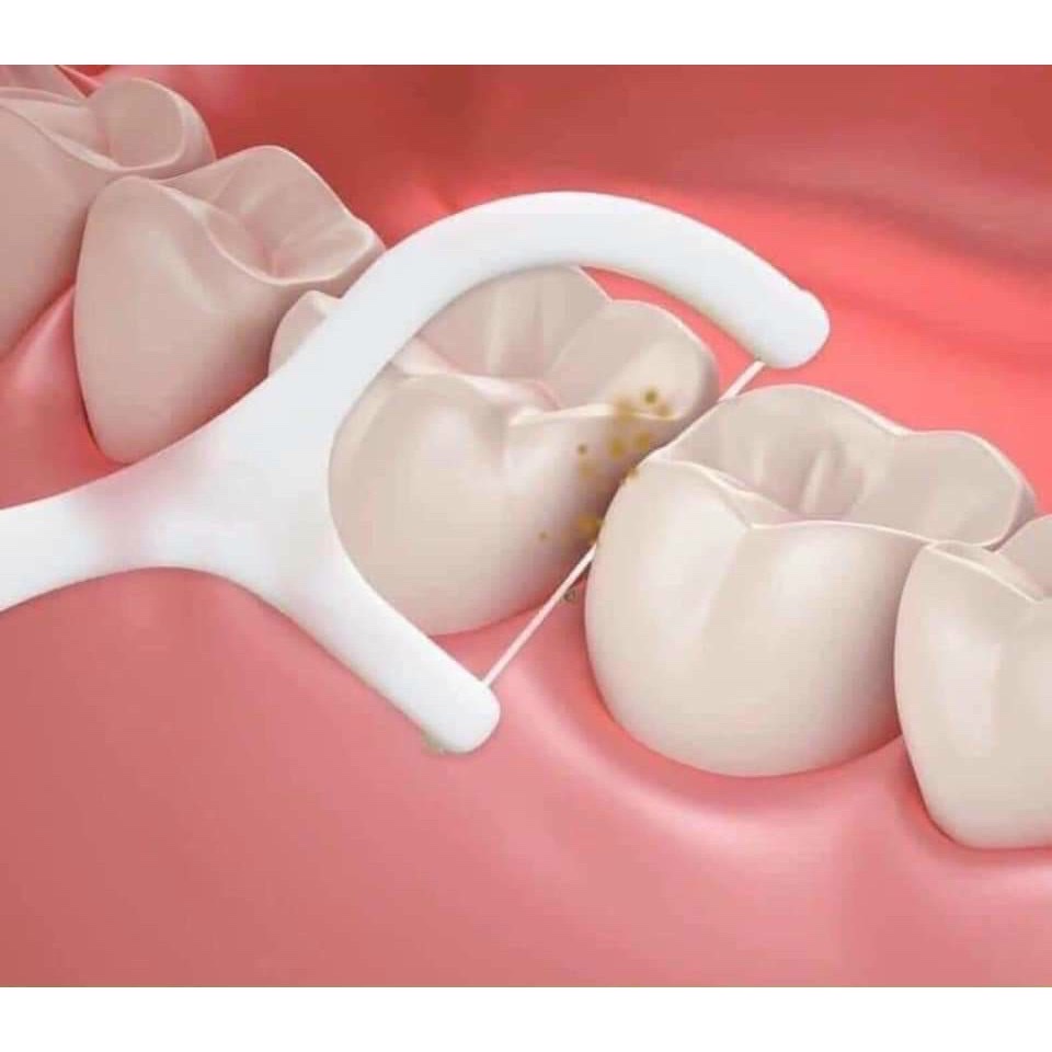 Phụ kiện nhà bếp phòng ăn _ Set hộp 50 cây tăm chỉ nha khoa , an toàn dễ sử dụng
