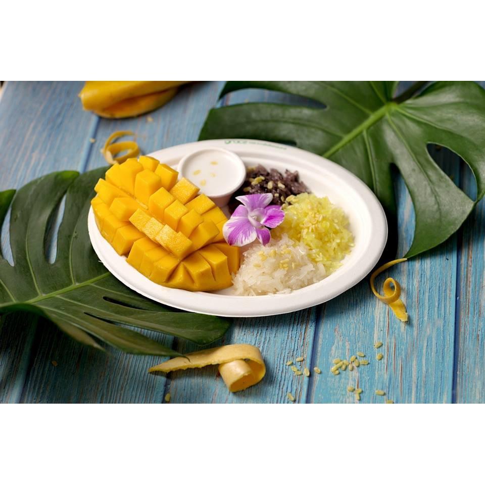 Dĩa giấy hột xoài bã mía Thái Lan 10 inch (10 cái/xấp) - thương hiệu Gracz