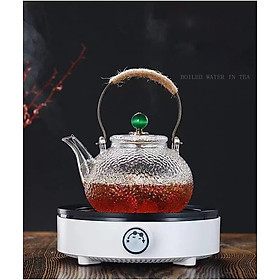 Bình trà thủy tinh Borosilicate vân nhám tay cầm kim loại - Phân loại gồm 700ML lõi lọc lò xo và 900ML lõi lọc thủy tinh