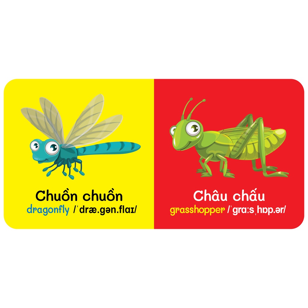 Trọn Bộ 9 Cuốn Từ Điển Bằng Hình Đầu Tiên Của Bé Từ 0-6 tuổi - Song Ngữ Anh- Việt - (VT)