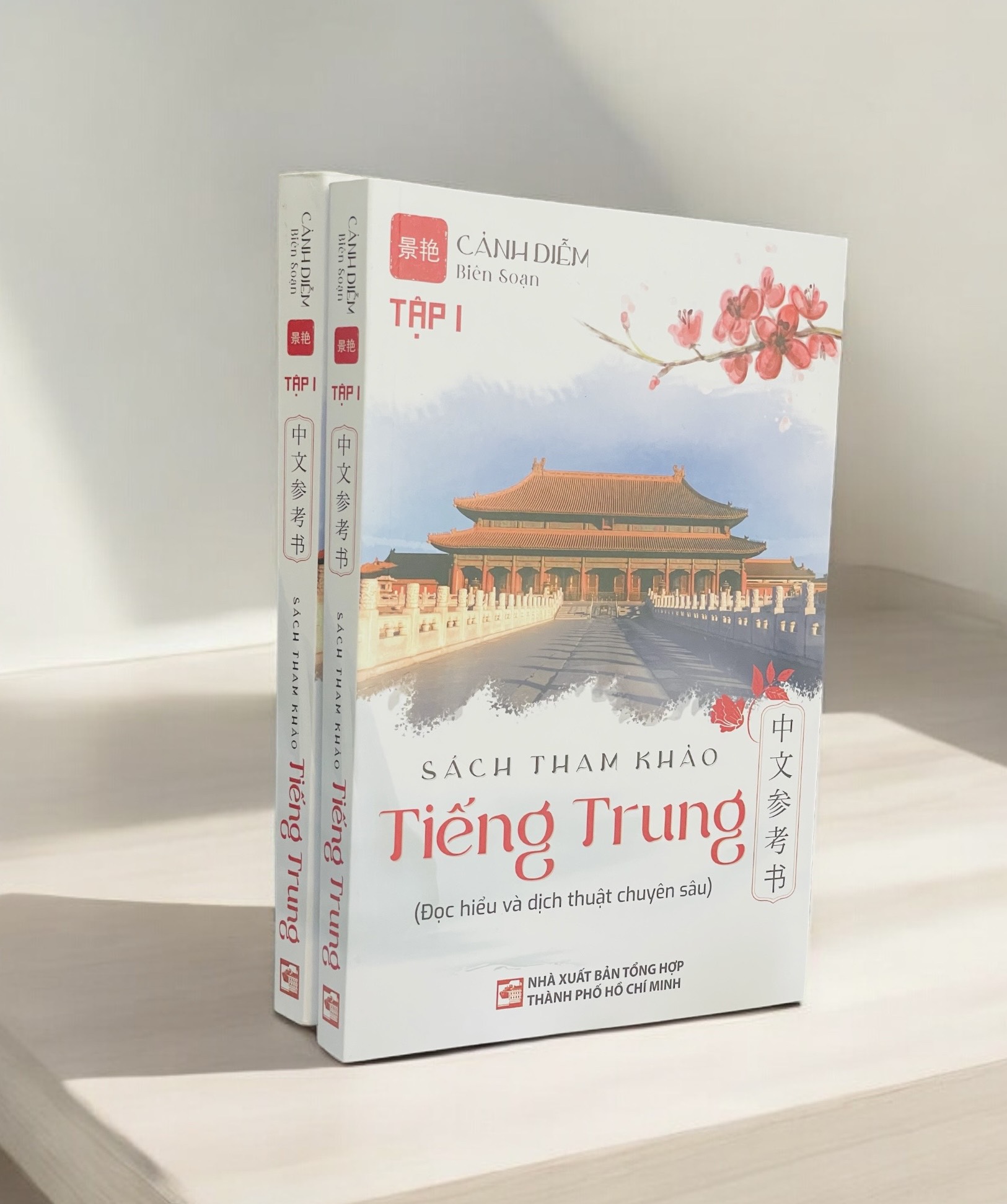 Sách Tham Khảo Tiếng Trung (Đọc hiểu và dịch thuật chuyên sâu)