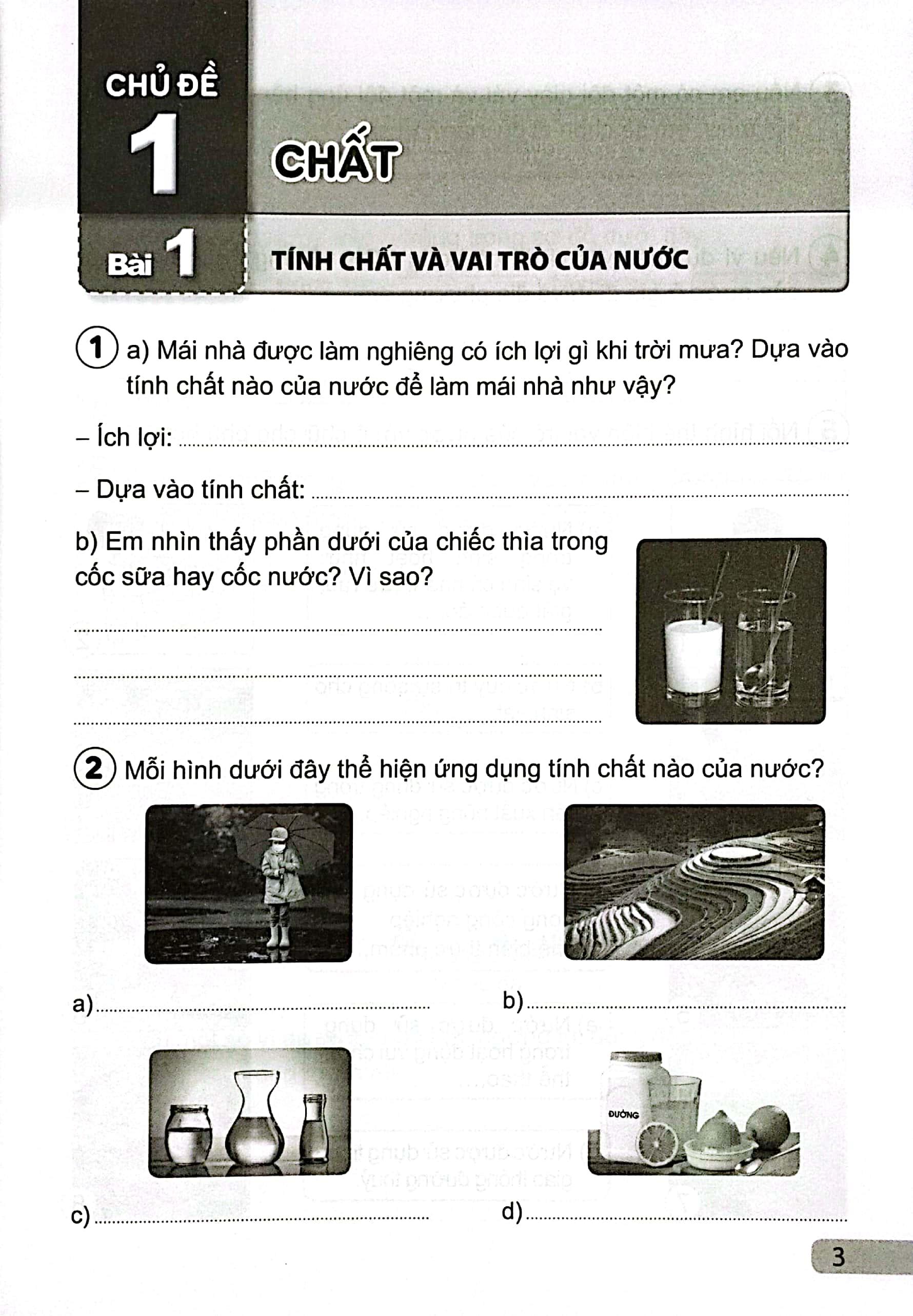Vở Bài Tập Khoa Học 4 (Cánh Diều) (Chuẩn)