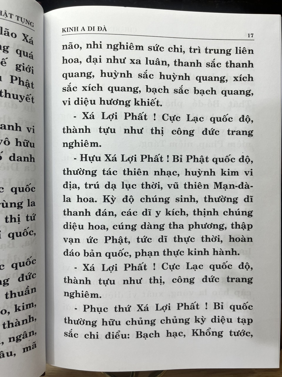 Sách - Chư Kinh Nhật Tụng - Các bộ kinh Phật quan trọng cho Phật tử tụng niệm mỗi ngày