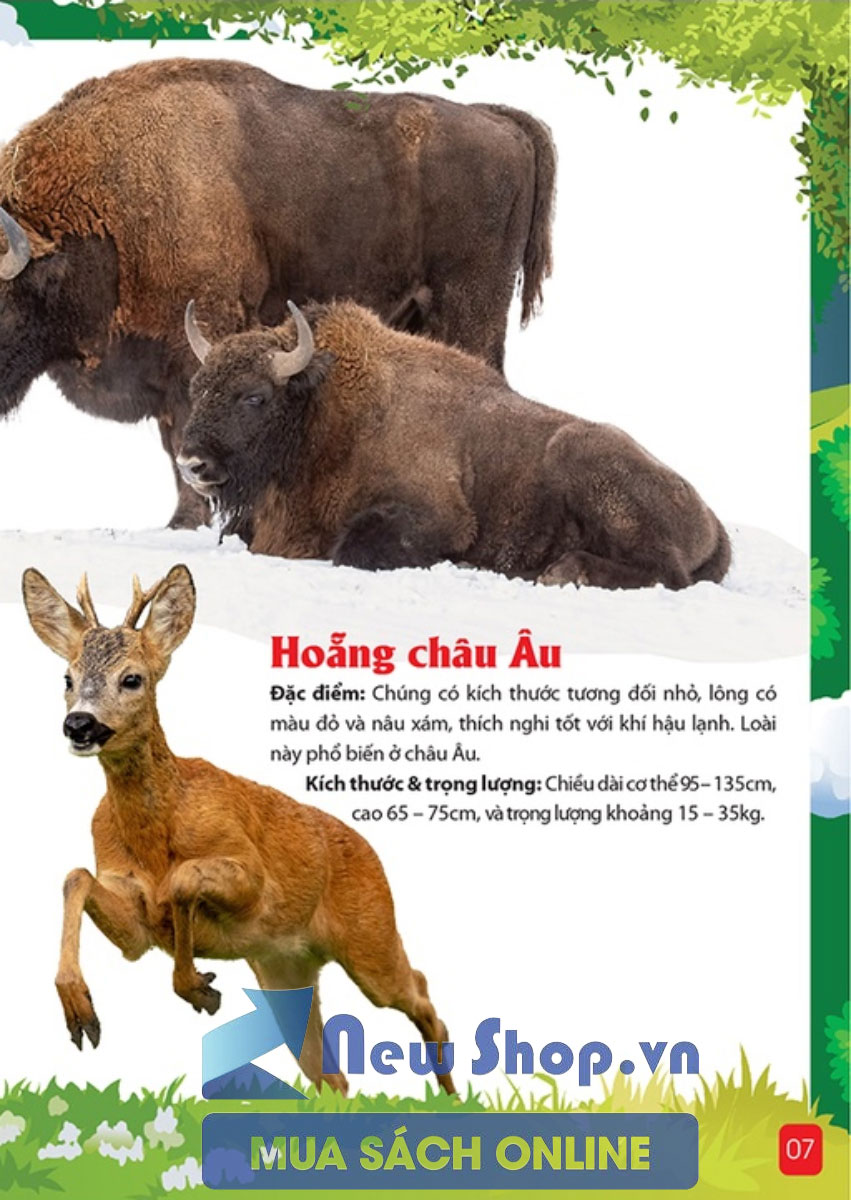 Khám Phá Động Vật 5 Châu - Châu Âu