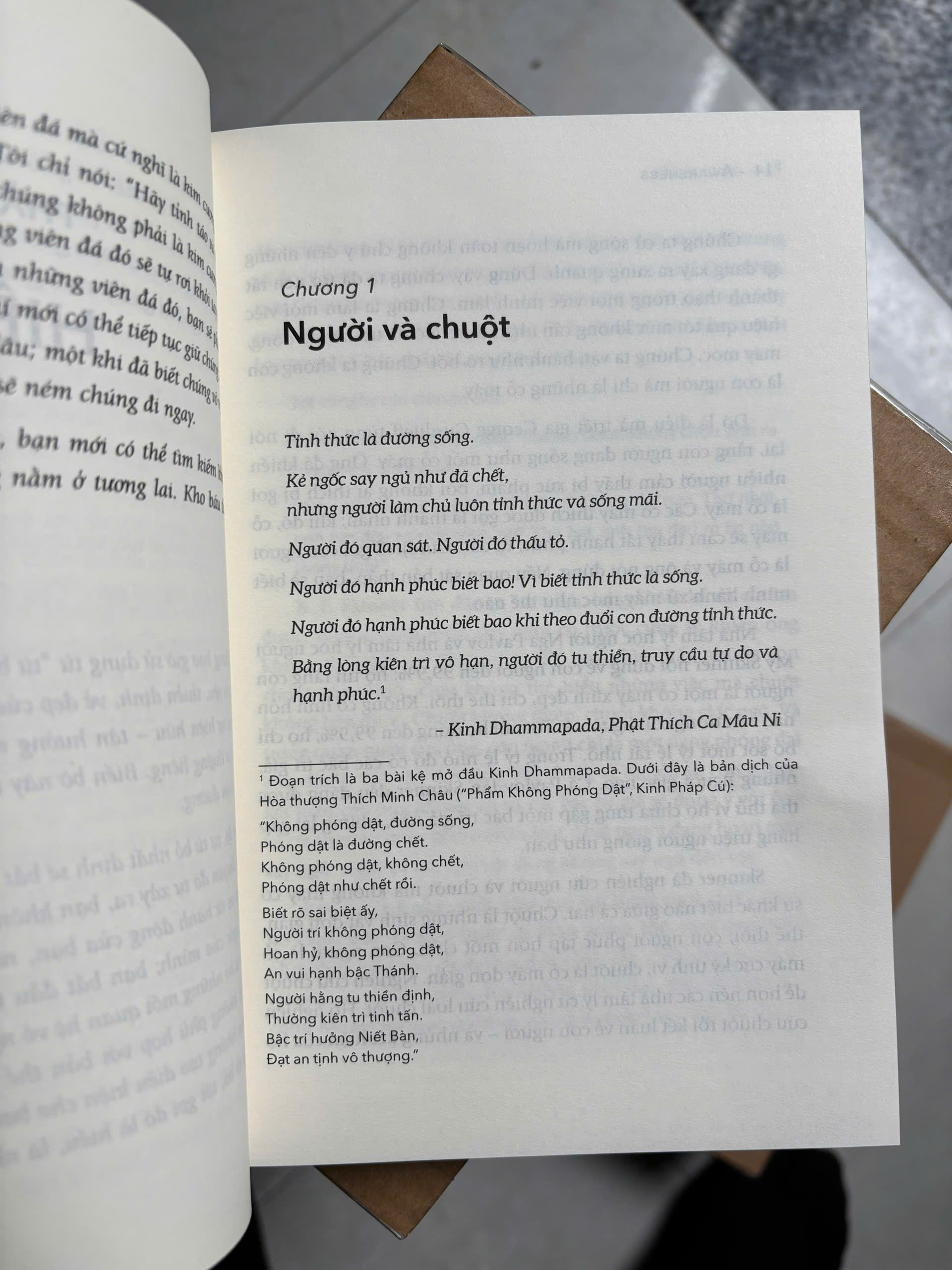 OSHO - Tỉnh Thức - Bí Quyết Cân Bằng Cuộc Sống