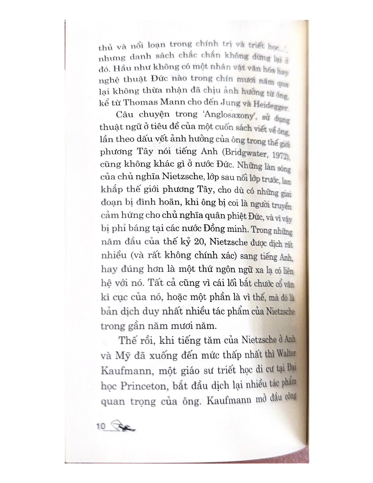 Dẫn Luận Về Nietzsche