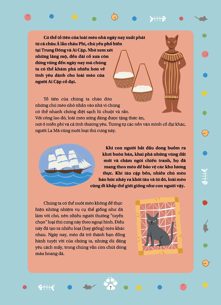 Câu Chuyện Về Loài Mèo