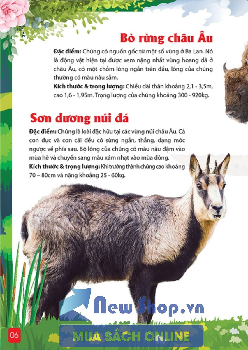 Khám Phá Động Vật 5 Châu - Châu Âu
