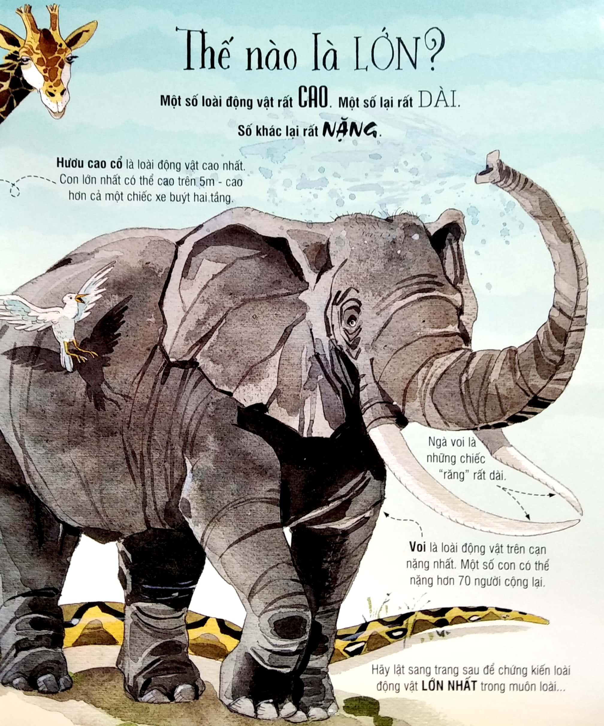 Sách Tương Tác - Big book - Cuốn sách khổng lồ về các loài động vật khổng lồ