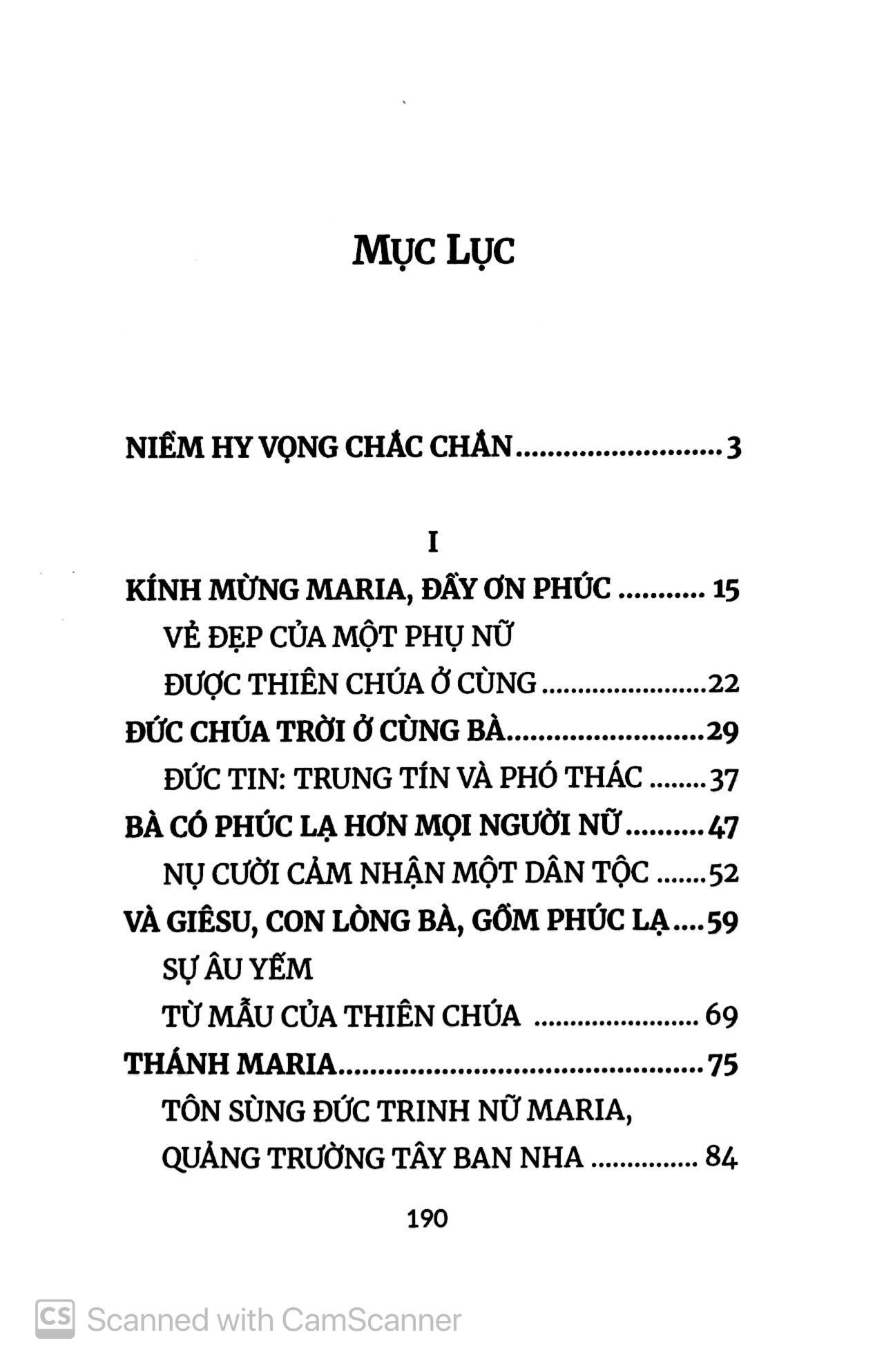 Kinh Kính Mừng - Một Suy Tư Mới Của Đức Giáo Hoàng Phanxicô
