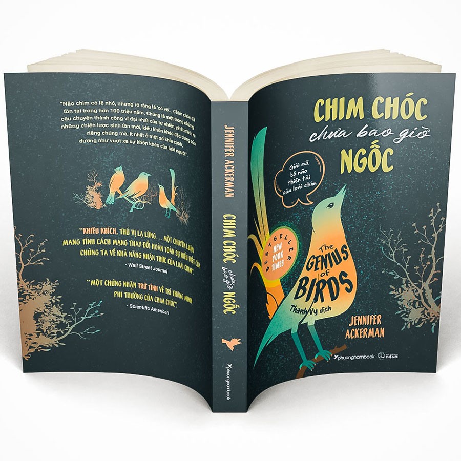 Chim Chóc Chưa Bao Giờ Ngốc (Giải Mã Bộ Não Thiên Tài Của Loài Chim)