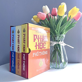 Phật Học Phổ Thông (Trọn Bộ 3 Tập)