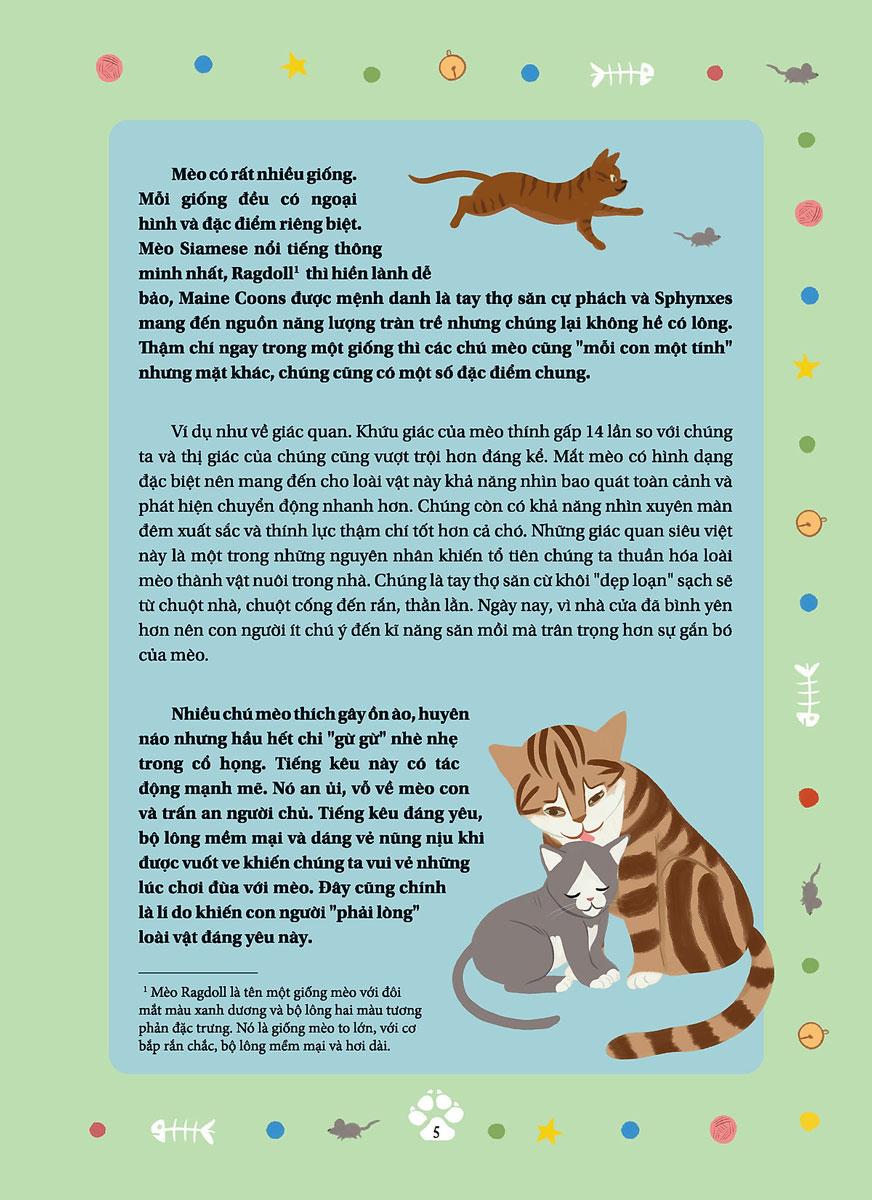 Câu Chuyện Về Loài Mèo