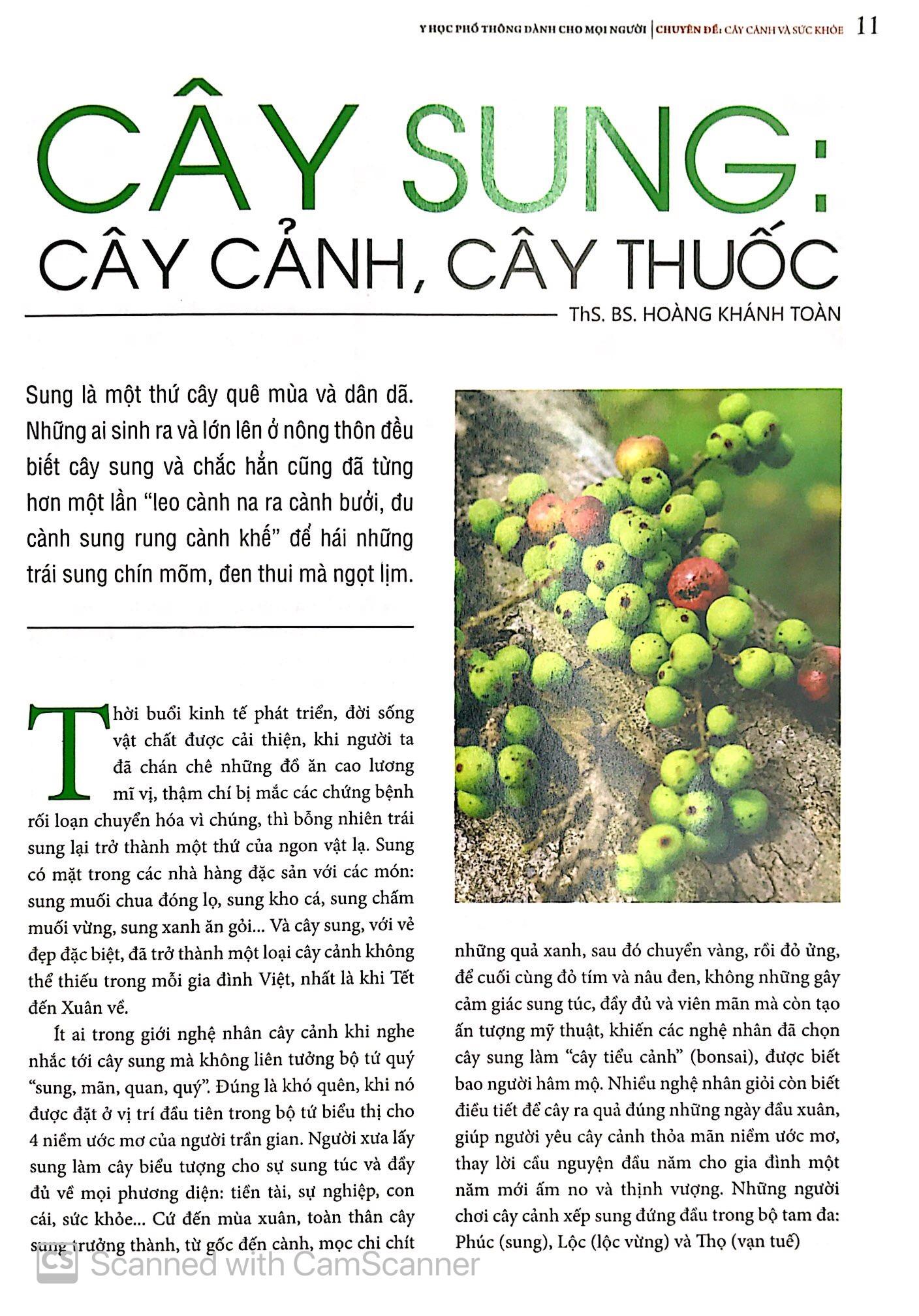 Y Học Phổ Thông Dành Cho Mọi Người - Chuyên Đề: Cây Cảnh Và Sức Khỏe
