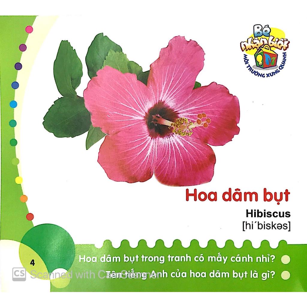 Bé Nhận Biết Môi Trường Xung Quanh - Hoa - Bản Quyền