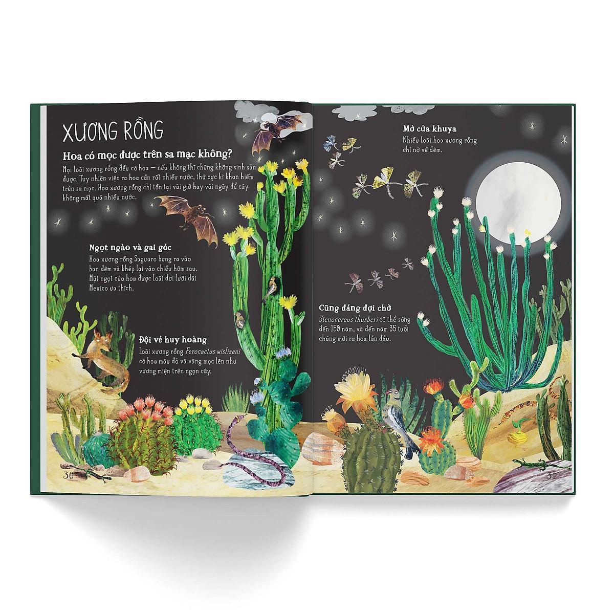 Sách - A Lê Hấp - Đông A Books