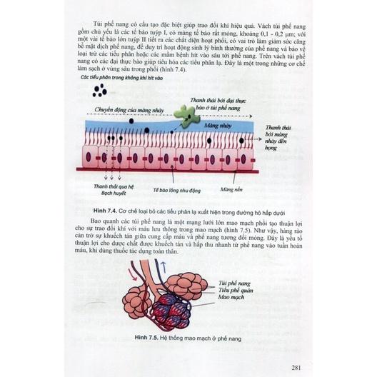 Sách - Bào chế và sinh dược học tập 1 2022