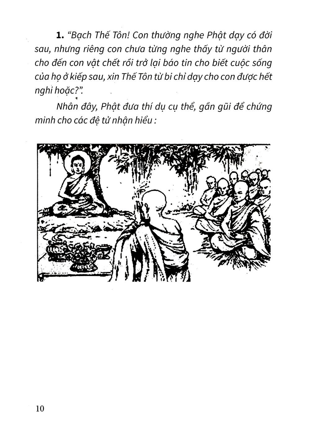 Đạo Lý Luân Hồi