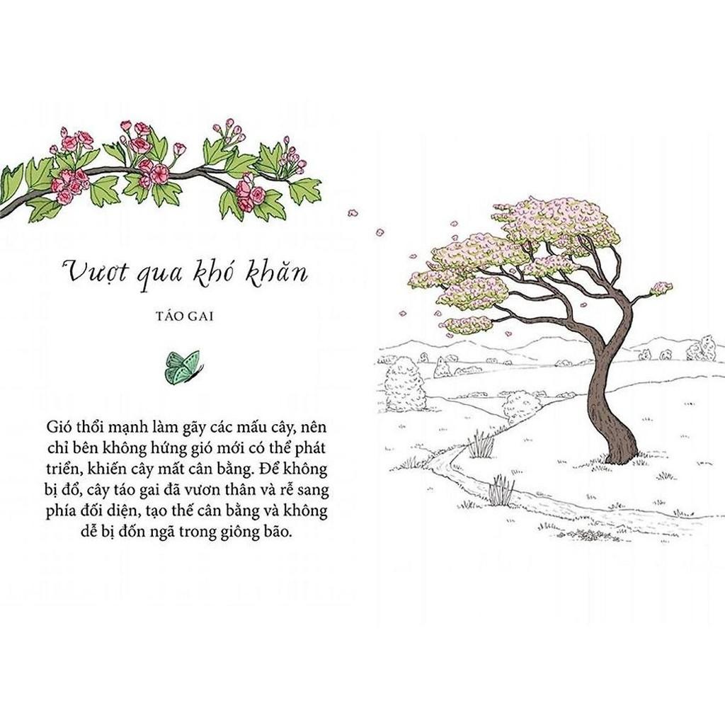 Sách - Sống Như Những Cái Cây - Những Bài Học Nhỏ Để Có Nguồn Hạnh Phúc Bất Tận - NXB Kim Đồng
