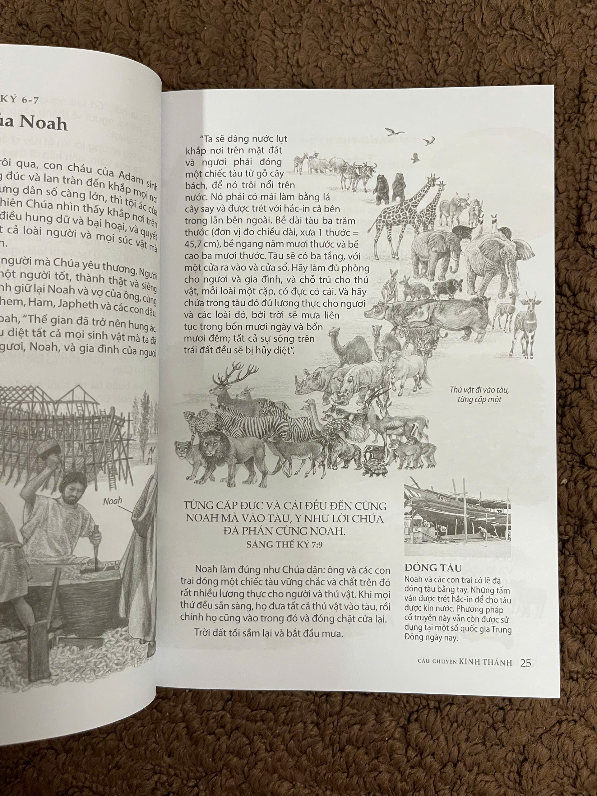 Câu Chuyện Kinh Thánh