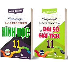 Sách - Phương Pháp Giải Các Chủ Đề Căn Bản Đại Số Và Giải Tích + Hình Học 11 - Combo 2 Cuốn - Dùng Chung SGK Hiện Hành - Hồng Ân