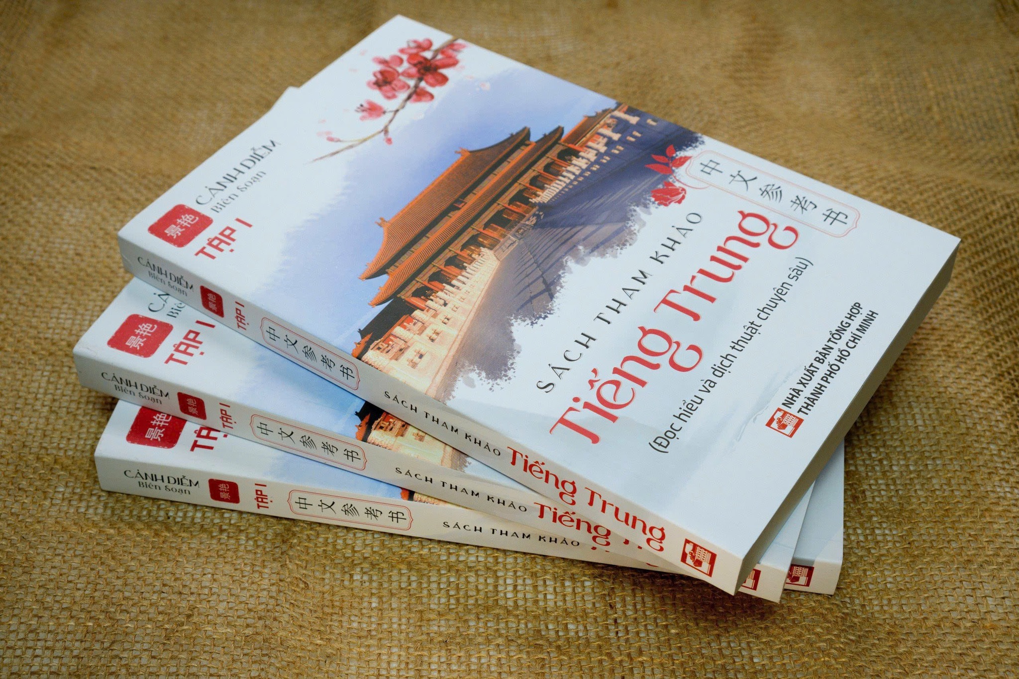 Sách Tham Khảo Tiếng Trung (Đọc hiểu và dịch thuật chuyên sâu)