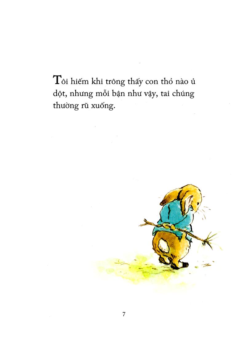 Thỏ Peter - Chuyện Bây Giờ Mới Kể: Nhà Vô Địch Peter (Tái Bản 2021)