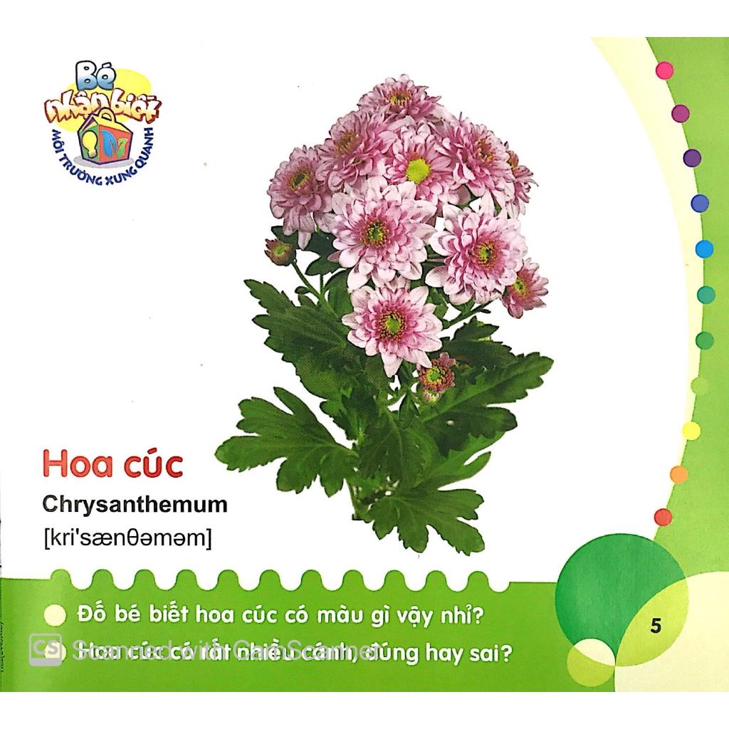 Bé Nhận Biết Môi Trường Xung Quanh - Hoa - Bản Quyền