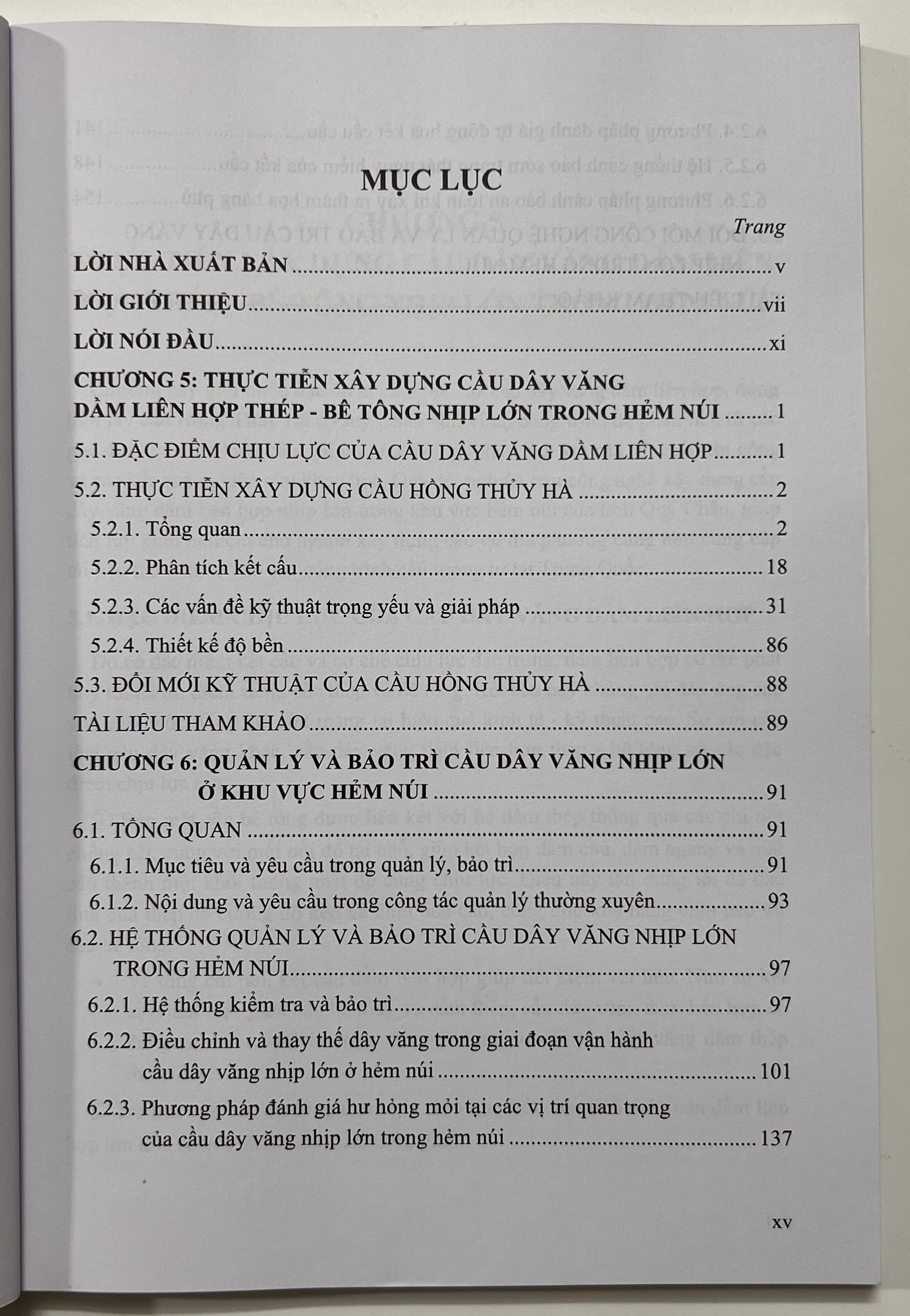 Sách - Xây Dựng Và Bảo Trì Cầu Dây Văng Nhịp Lớn Trong Hảm Núi (Tập 2)