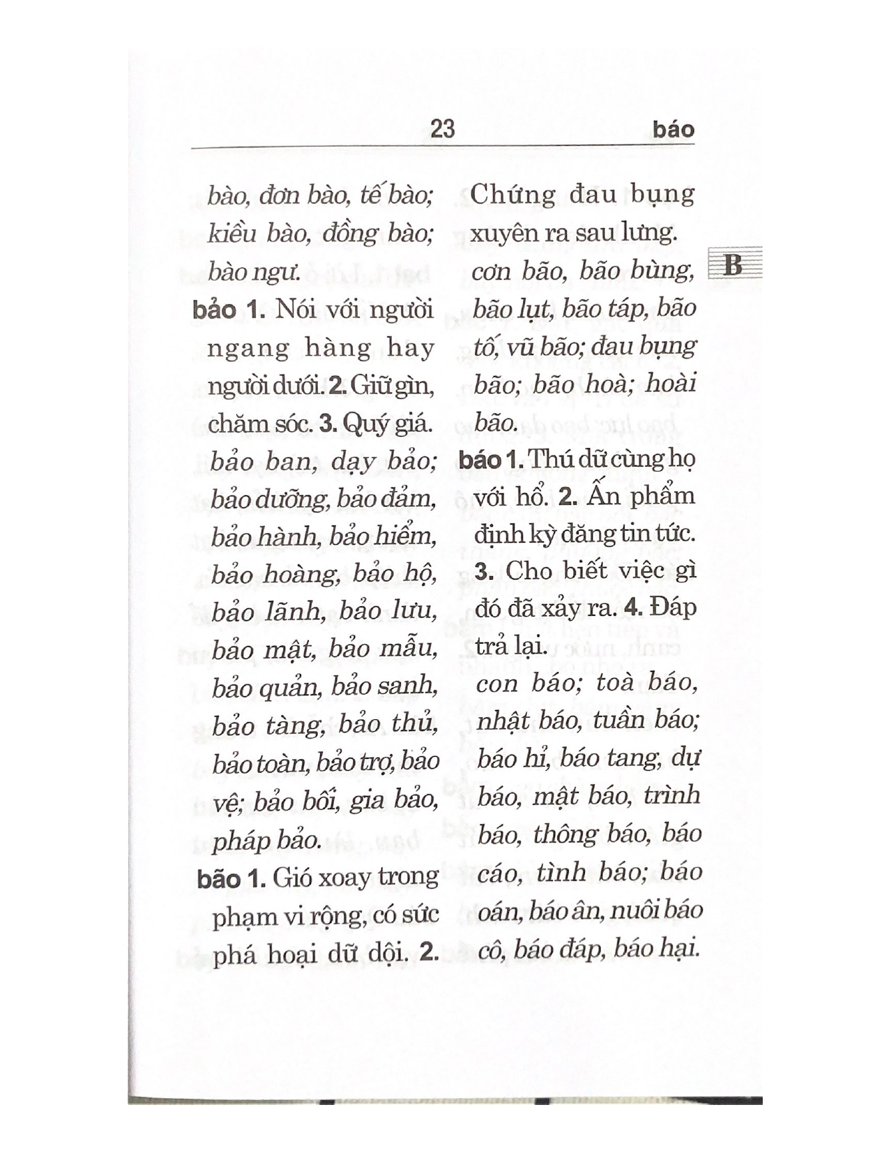 Từ Điển Chính Tả Tiếng Việt (VL)