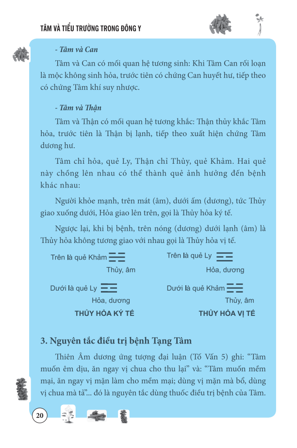 Tâm Và Tiểu Trường Trong Đông Y (Bìa mềm)