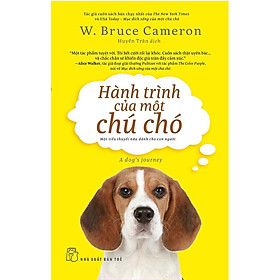 Hành Trình Của Một Chú Chó - Bản Quyền