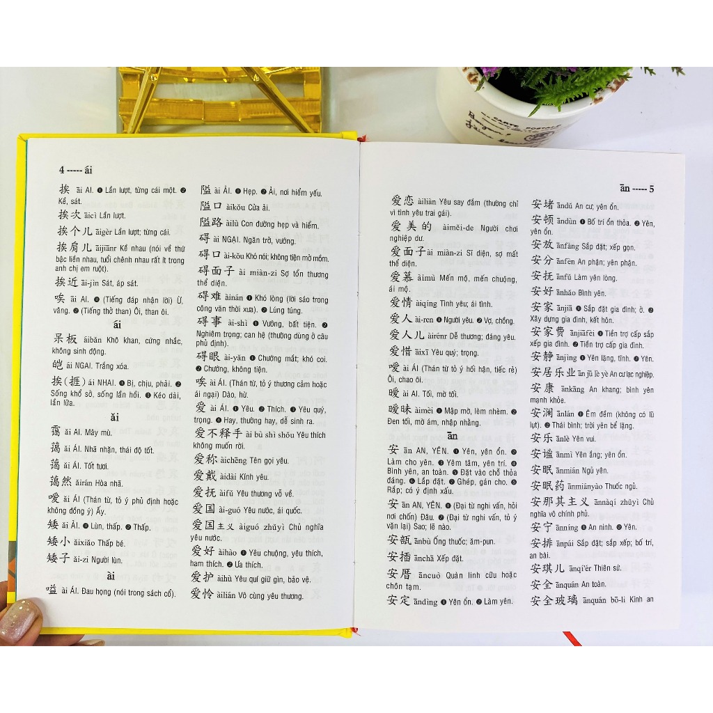 Sách - Từ điển Trung Việt (bìa cứng) - ndbooks