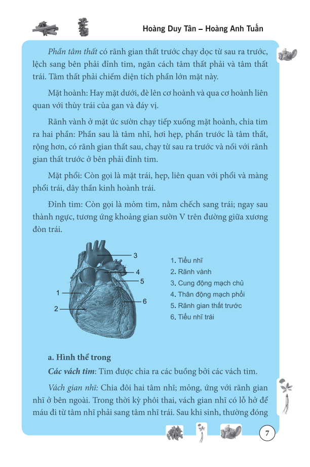 Tâm Và Tiểu Trường Trong Đông Y (Bìa mềm)