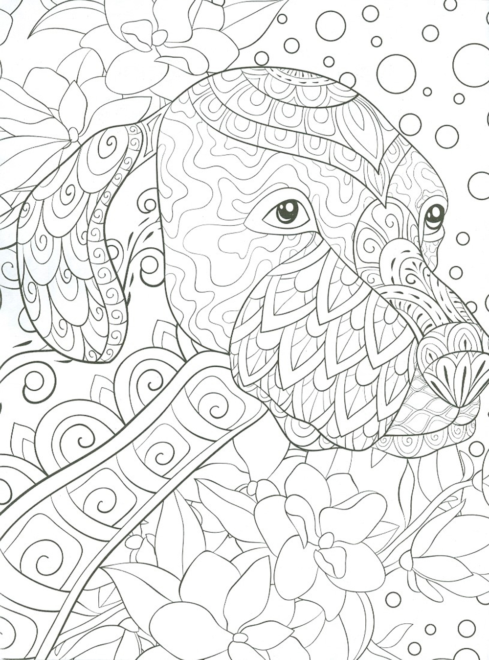Sách Tô Màu Người Lớn - ĐỘNG VẬT HOANG DÃ: Tô Màu Cho Cuộc Sống Bình Yên Và Thư Giãn (Adult Colouring Book -Wilderness: Colouring For Peace And Relaxation)