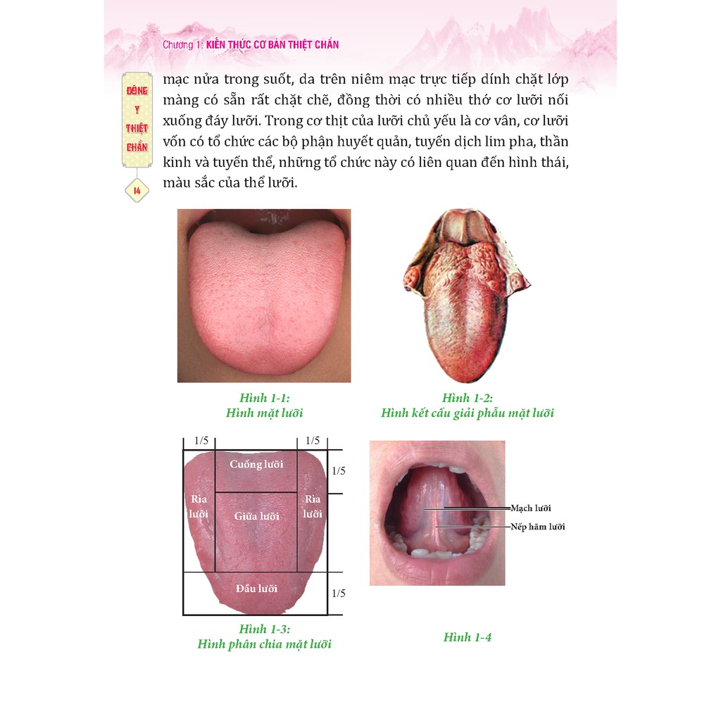 Sách - Đông y thiệt chẩn