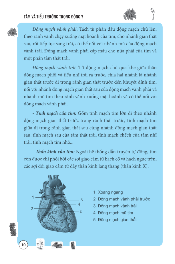 Tâm Và Tiểu Trường Trong Đông Y (Bìa mềm)