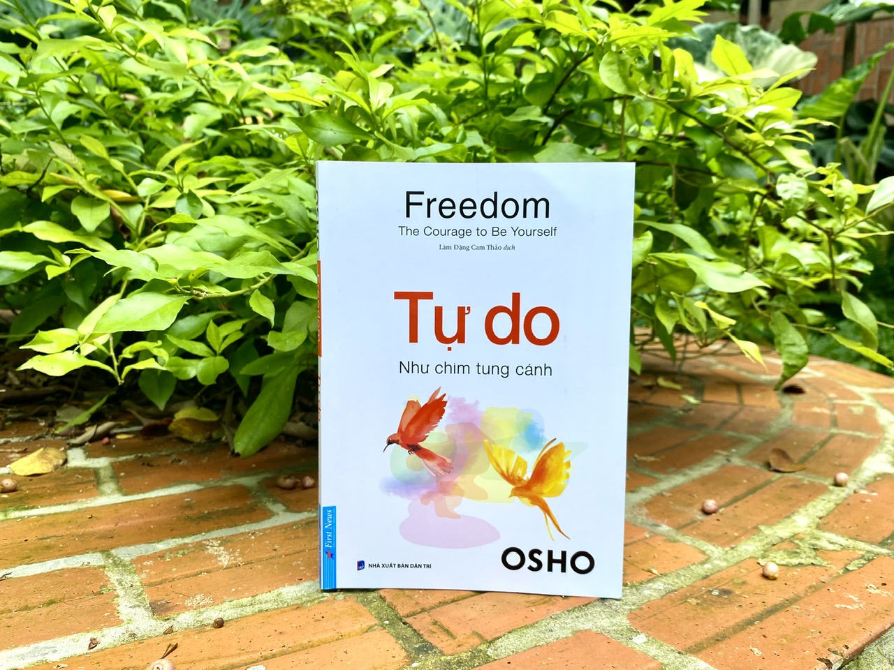 Sách OSHO - Tự Do Như Chim Tung Cánh - First News