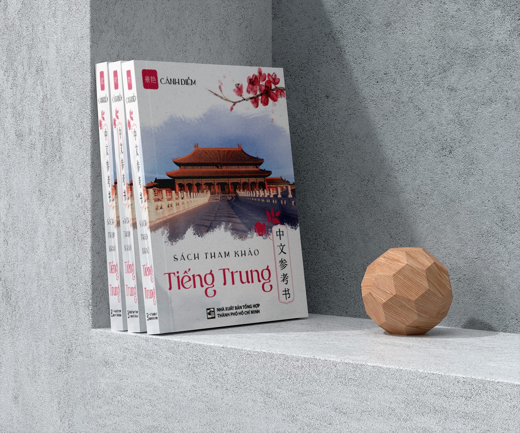Sách Tham Khảo Tiếng Trung (Đọc hiểu và dịch thuật chuyên sâu)
