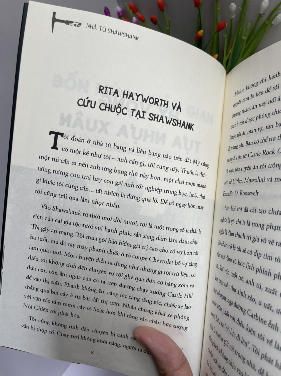 (The 1# New York Times Best Seller) THE SHAWSHANK REDEMPTION - NHÀ TÙ SHAWSHANK - Stephen King – Đỗ Phan Thu Hà dịch – 1980 Books – NXB Thanh Niên