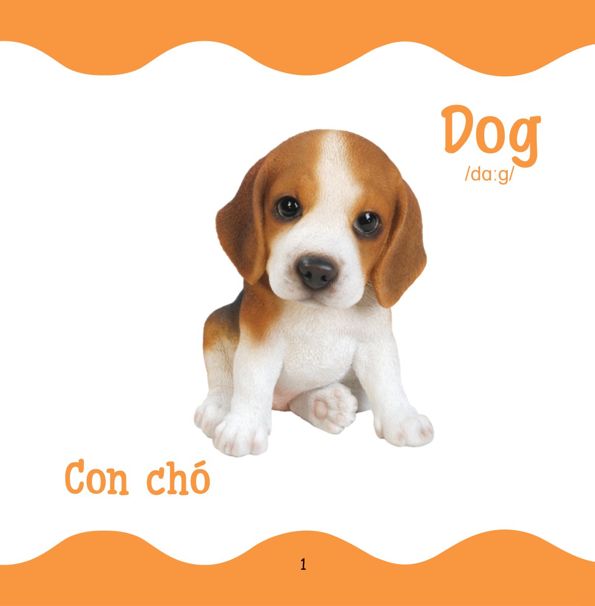 Cùng Con Trưởng Thành - Từ Điển Bằng Hình Cho Trẻ Mầm Non - Động Vật Nuôi _DTI